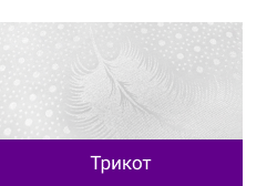 Трикот.png